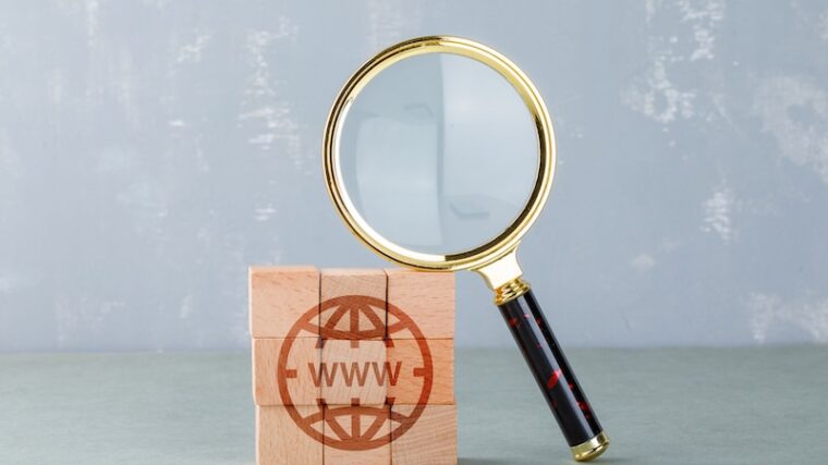 SEO: förstoringsglas och www