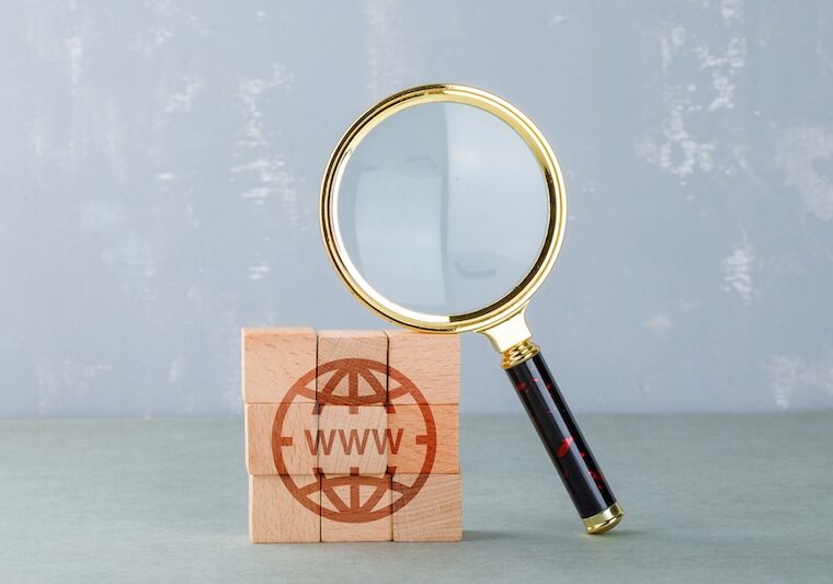 SEO: förstoringsglas och www